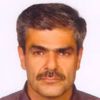 درباره علی عبادی