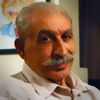 درباره نادر ابراهیمی