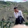 درباره سید محمد مبین محمودی
