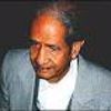 درباره ضیا قاری زاده