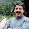 درباره شیون فومنی