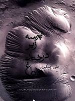 پرسه زیر درختان تاغ  | علی چنگیزی