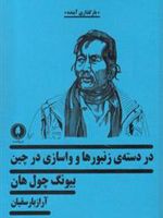 در دسته ی زنبورها و واسازی در چین  | بیونگ چول هان