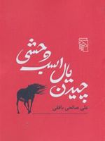 چیدن یال اسب وحشی  | علی صالحی بافقی