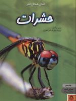 دنیای هیجان انگیز حشرات  | رزی دیکینز