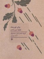 برای تو و ماه نغمه سر دادم (گزینه اشعار کارل سندبرگ) | کارل سندبرگ