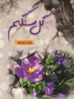 گل سنگم  | فرناز رمضان نیا