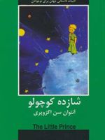شازده کوچولو برای نوجوانان | آنتوان دو سنت اگزوپری