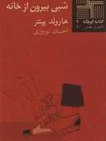 شبی بیرون از خانه  | هارولد پینتر