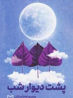 پشت دیوار شب  | محمدرضا سرشار