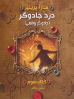 جادوگر واقعی دزد جادوگر (کتاب سوم) | سارا پرینیز
