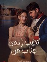 نجیب زاده ی جذاب من عاشقانه های عجیب | نانسی کمپل الن