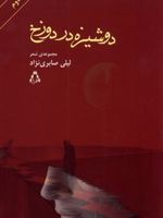 دوشیزه در دوزخ  | لیلی صابری نژاد