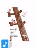آلبوم موسیقی کوک سه تار 