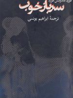 سرباز خوب  | فورد مادوکس فورد