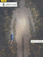مردی در تاریکی (رقعی)  | پل استر