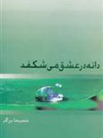 دانه در عشق می شکفد  | مسیحا برزگر