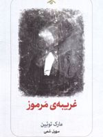 غریبه ی مرموز  | مارک تواین