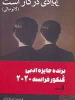 ایرادی در کار است (لانومالی) برنده جایزه گنکور ۲۰۲۰ | اروه لوته لیه