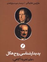 پدیدارشناسی روح هگل علم تجربه آگاهی | مارتین هایدگر