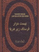 بیست هزار فرسنگ زیر دریا  | ژول ورن