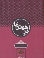 دز هوش ربا تفسیر مثنوی مولوی | جلال الدین همایی