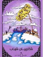 شکارچیان شهاب  | ژول ورن