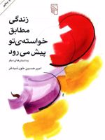 زندگی مطابق خواسته تو پیش می رود  | امیرحسین خورشیدفر