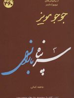 سرپناه بارانی  | جوجو مویز