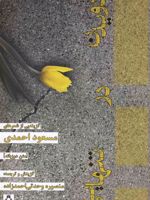 دویدن در تنهایی گزینه ای از شعرهای مسعود احمدی - 2 زبانه | مسعود احمدی