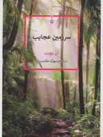 سرزمین عجایب  | آن پچت