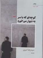 کوچه ای که با سر به دیوار میخورد  | سیدرضا میری