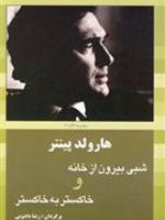 شبی بیرون از خانه و خاکستر به خاکستر | هارولد پینتر