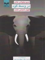 در وسط گود  | نسیم نیکلاس طالب