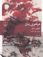 هیاهوی زمان  | جولین بارنز