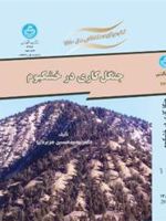 جنگل کاری در خشکبوم  | محمدحسین جزیره ای