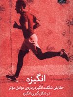 انگیزه حقایقی شگفت انگیز درباره ی عوامل موثر در شکل گیر ی انگیزه | دانیل پینک