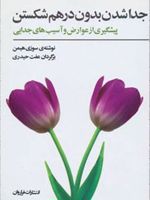 جداشدن بدون درهم شکستن (پیشگیری از عوارض و آسیب های جدایی)
 | سوزی هیمن