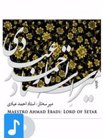 آلبوم موسیقی میر سه تار 
