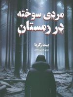 مردی سوخته در زمستان  | پیت زکریا