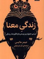 زندگی معنا بررسی عمیق ترین پرسش ها و انگیزه ها در زندگی | جیمز هالیس