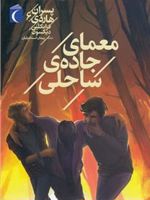 معمای جاده ساحل (پسران هاردی 6) | فرانکلین دیکسون