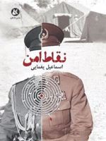 نقاط امن  | اسماعیل یغمایی