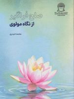صلح فراگیر از نگاه مولوی  | محمد حیدری(۱۳۳۶‏)