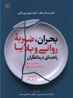 بحران ضربه روانی و بلایا راهنمای درمانگران | استیون وی فلین