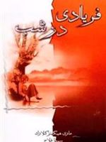 فریادی در شب  | مری هیگینز کلارک