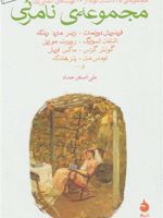 مجموعه نامرئی (مجموعه ی 45 داستان کوتاه از 26 نویسنده ی آلمانی زبان) | مجموعه ی نویسندگان-فریدریش دورنمات