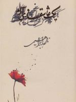 یک عاشقانه ی آرام(زرکوب)  | نادر ابراهیمی
