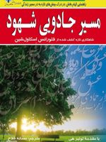 مسیر جادویی شهود  | فلورانس اسکاول شین