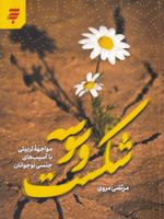 شکست وسوسه مواجهه تربیتی با آسیب های جنسی نوجوانان | مرتضی مروی